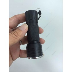  Torch Light (UV)