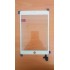iPad Mini 3 Touch Screen Touch Pad Digitizer Glass