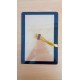 SAM P5100 / N8000 (Tab 2 10.1) (Original) Touch Screen Touch Pad Digitizer Glass